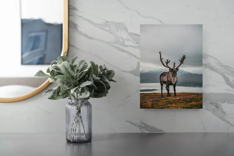 Tablou Canvas, "Rena pe crestele înzăpezite ale Nordului", Majestic, Solitary, Regal, Serene, Wilderness, Antlers, Majestic, Landscape, 26 x 39 cm – poza 4