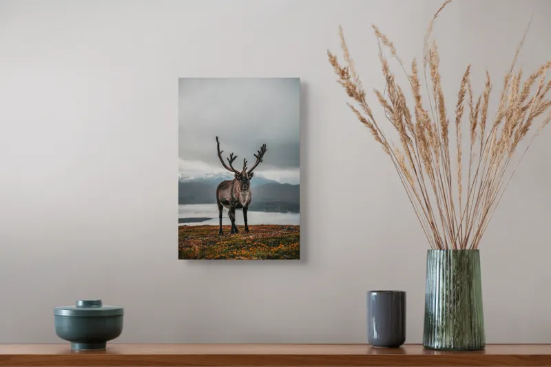 Tablou Canvas, "Rena pe crestele înzăpezite ale Nordului", Majestic, Solitary, Regal, Serene, Wilderness, Antlers, Majestic, Landscape, 26 x 39 cm – poza 5