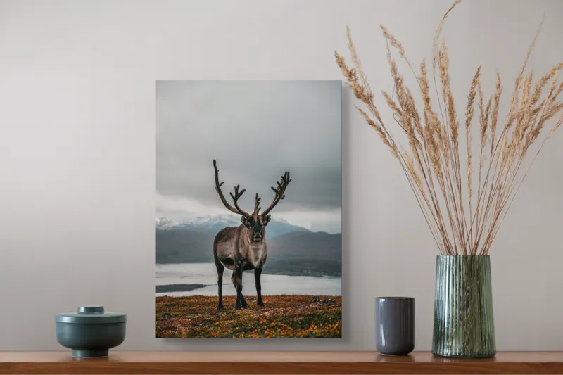 Tablou Canvas, "Rena pe crestele înzăpezite ale Nordului", Majestic, Solitary, Regal, Serene, Wilderness, Antlers, Majestic, Landscape, 39 x 54 cm – poza 3