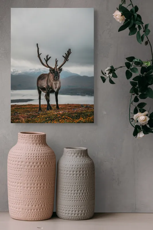 Tablou Canvas, "Rena pe crestele înzăpezite ale Nordului", Majestic, Solitary, Regal, Serene, Wilderness, Antlers, Majestic, Landscape, 39 x 54 cm – poza 6