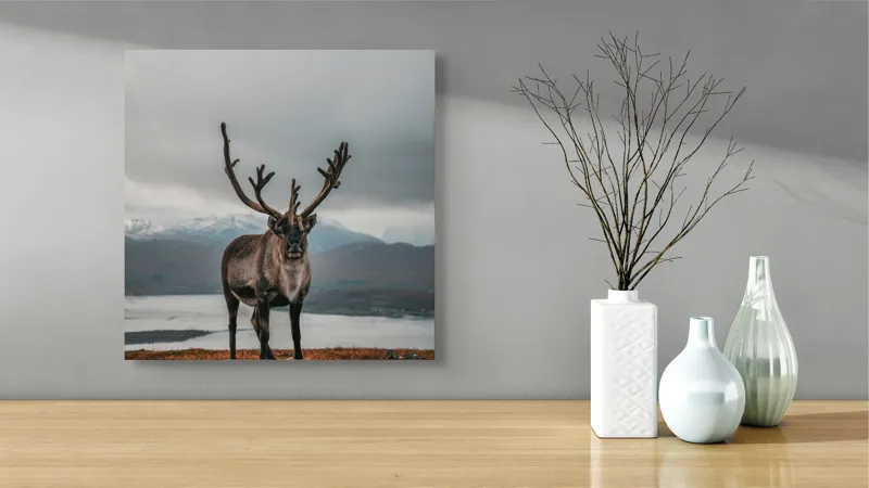 Tablou Canvas, "Rena pe crestele înzăpezite ale Nordului", Majestic, Solitary, Regal, Serene, Wilderness, Antlers, Majestic, Landscape, 50 x 50 cm – poza 3
