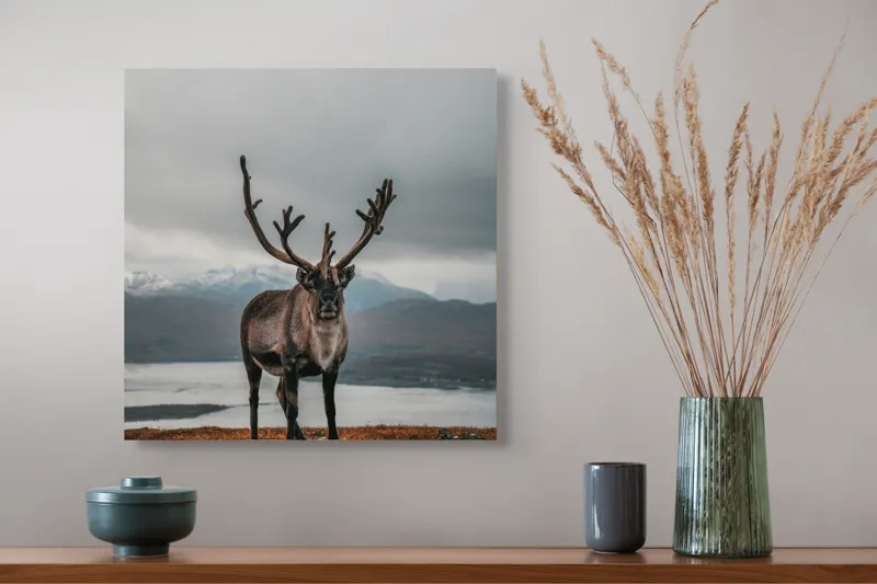 Tablou Canvas, "Rena pe crestele înzăpezite ale Nordului", Majestic, Solitary, Regal, Serene, Wilderness, Antlers, Majestic, Landscape, 50 x 50 cm – poza 4