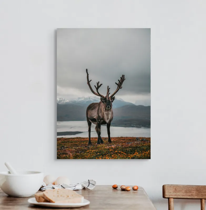 Tablou Canvas, "Rena pe crestele înzăpezite ale Nordului", Majestic, Solitary, Regal, Serene, Wilderness, Antlers, Majestic, Landscape, 50 x 70 cm – poza 3