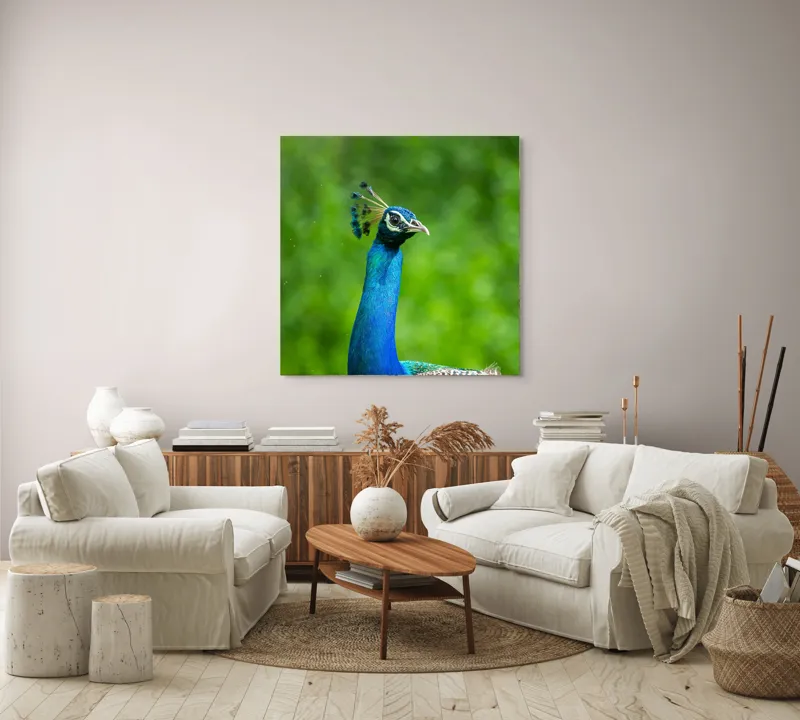 Tablou Canvas, "Păunul într-o zi verde vibrantă", Magnific, Albastru, Penaj, Regal, Vibrant, Majestos, Elegant, Păun, 100 x 100 cm – poza 3