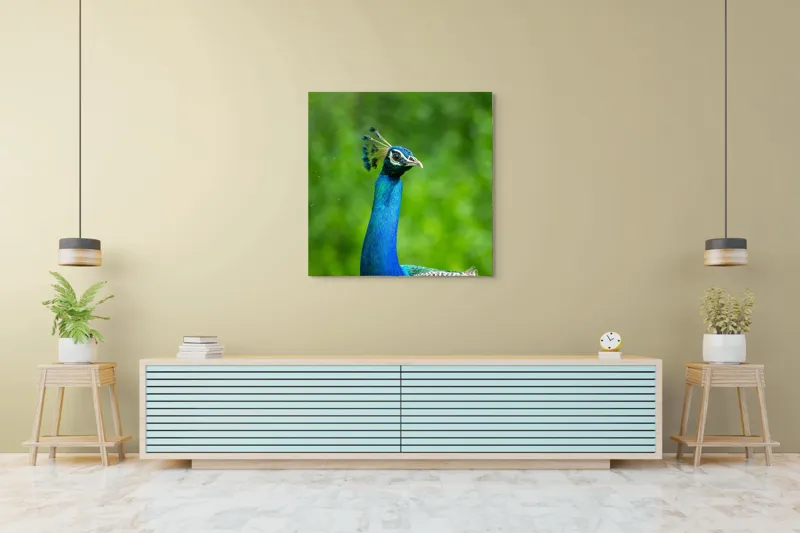 Tablou Canvas, "Păunul într-o zi verde vibrantă", Magnific, Albastru, Penaj, Regal, Vibrant, Majestos, Elegant, Păun, 100 x 100 cm – poza 5