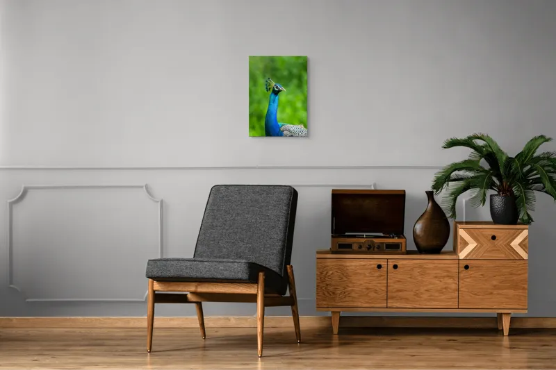 Tablou Canvas, "Păunul într-o zi verde vibrantă", Magnific, Albastru, Penaj, Regal, Vibrant, Majestos, Elegant, Păun, 39 x 54 cm – poza 8