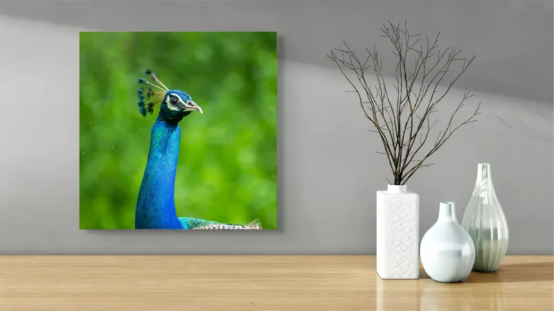Tablou Canvas, "Păunul într-o zi verde vibrantă", Magnific, Albastru, Penaj, Regal, Vibrant, Majestos, Elegant, Păun, 50 x 50 cm – poza 3
