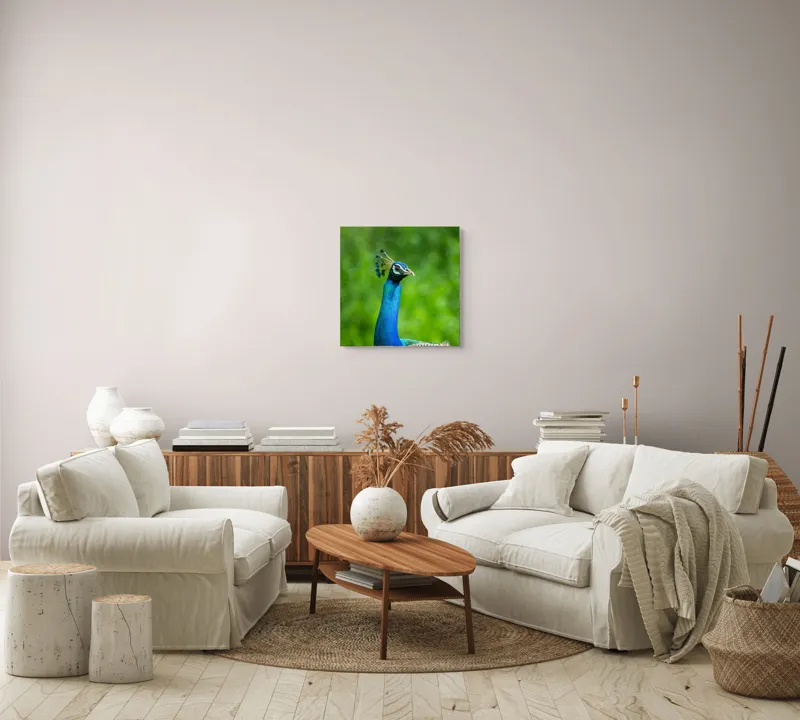 Tablou Canvas, "Păunul într-o zi verde vibrantă", Magnific, Albastru, Penaj, Regal, Vibrant, Majestos, Elegant, Păun, 50 x 50 cm – poza 7