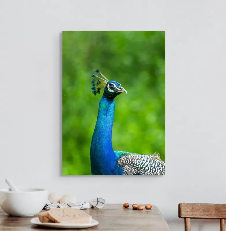 Tablou Canvas, "Păunul într-o zi verde vibrantă", Magnific, Albastru, Penaj, Regal, Vibrant, Majestos, Elegant, Păun, 50 x 70 cm – poza 3
