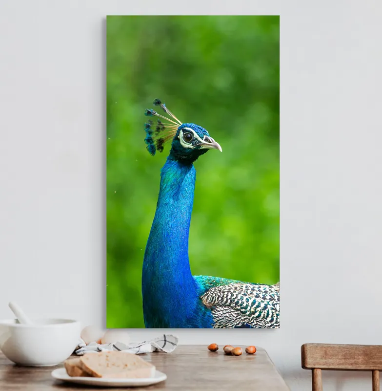 Tablou Canvas, "Păunul într-o zi verde vibrantă", Magnific, Albastru, Penaj, Regal, Vibrant, Majestos, Elegant, Păun, 50 x 90 cm – poza 3