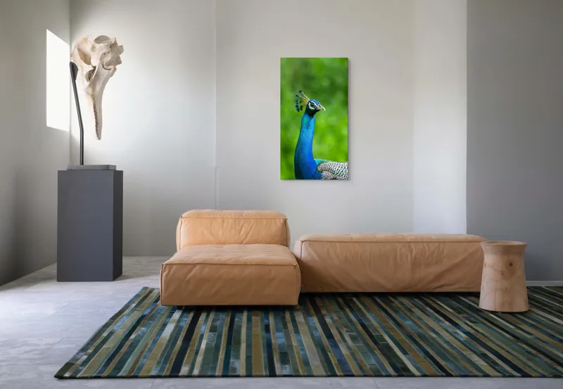 Tablou Canvas, "Păunul într-o zi verde vibrantă", Magnific, Albastru, Penaj, Regal, Vibrant, Majestos, Elegant, Păun, 50 x 90 cm – poza 5