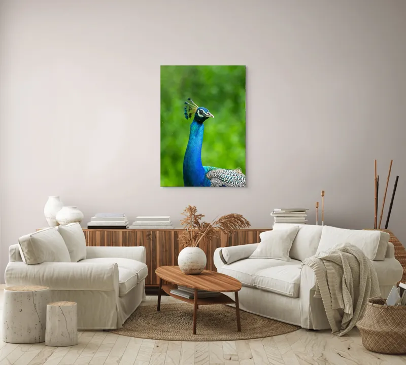Tablou Canvas, "Păunul într-o zi verde vibrantă", Magnific, Albastru, Penaj, Regal, Vibrant, Majestos, Elegant, Păun, 70 x 100 cm – poza 4