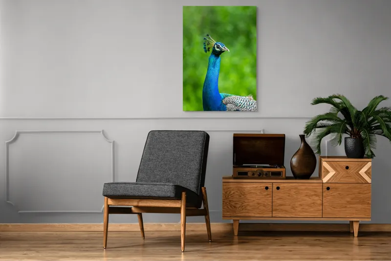 Tablou Canvas, "Păunul într-o zi verde vibrantă", Magnific, Albastru, Penaj, Regal, Vibrant, Majestos, Elegant, Păun, 70 x 100 cm – poza 6