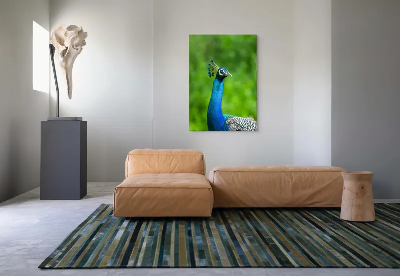 Tablou Canvas, "Păunul într-o zi verde vibrantă", Magnific, Albastru, Penaj, Regal, Vibrant, Majestos, Elegant, Păun, 70 x 100 cm – poza 7