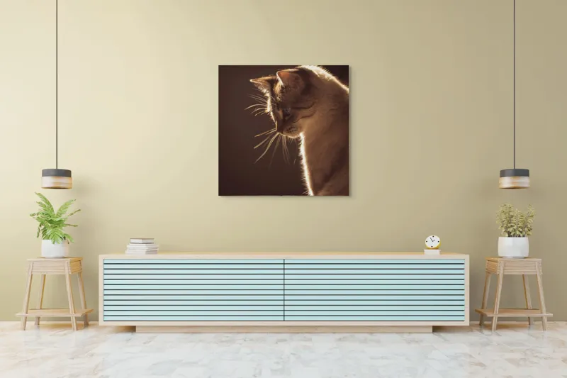 Tablou Canvas, "Lumina blândă a serii feline", Scânteie, Blană, Portret, Lumină, Siluetă, Ochii, Reflexie, Mister, Calm, Grație, 100 x 100 cm – poza 5