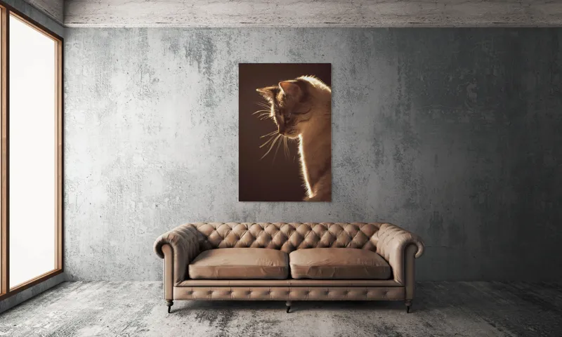 Tablou Canvas, "Lumina blândă a serii feline", Scânteie, Blană, Portret, Lumină, Siluetă, Ochii, Reflexie, Mister, Calm, Grație, 100 x 150 cm – poza 6