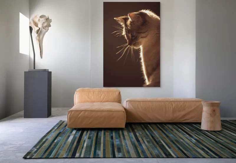 Tablou Canvas, "Lumina blândă a serii feline", Scânteie, Blană, Portret, Lumină, Siluetă, Ochii, Reflexie, Mister, Calm, Grație, 100 x 150 cm – poza 7