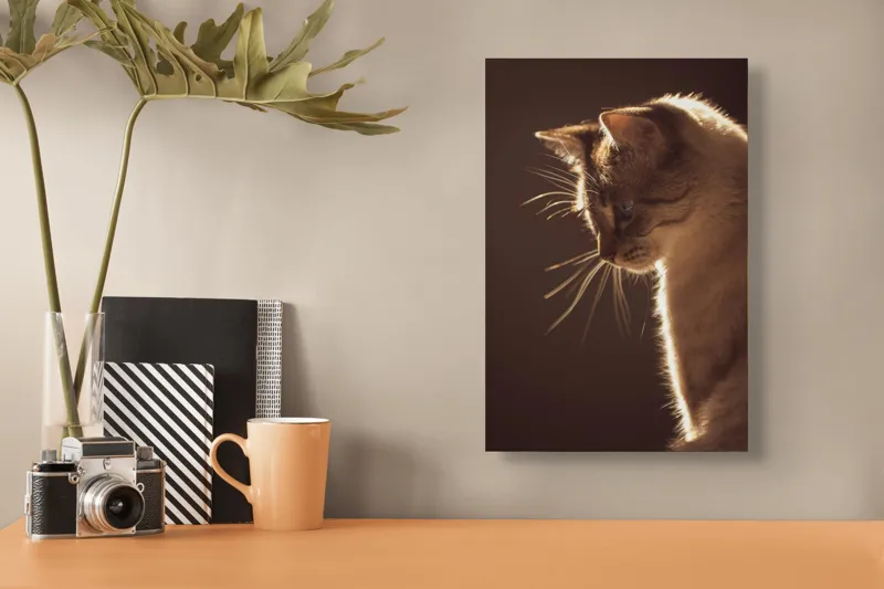 Tablou Canvas, "Lumina blândă a serii feline", Scânteie, Blană, Portret, Lumină, Siluetă, Ochii, Reflexie, Mister, Calm, Grație, 26 x 39 cm – poza 3