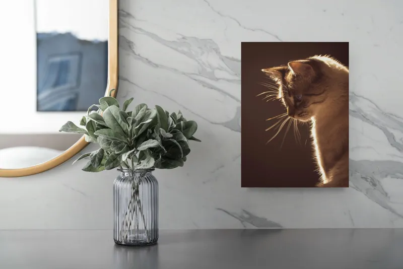 Tablou Canvas, "Lumina blândă a serii feline", Scânteie, Blană, Portret, Lumină, Siluetă, Ochii, Reflexie, Mister, Calm, Grație, 26 x 39 cm – poza 4
