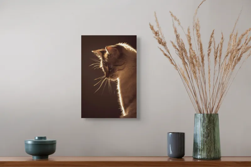 Tablou Canvas, "Lumina blândă a serii feline", Scânteie, Blană, Portret, Lumină, Siluetă, Ochii, Reflexie, Mister, Calm, Grație, 26 x 39 cm – poza 5