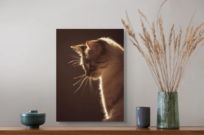 Tablou Canvas, "Lumina blândă a serii feline", Scânteie, Blană, Portret, Lumină, Siluetă, Ochii, Reflexie, Mister, Calm, Grație, 39 x 54 cm – poza 3