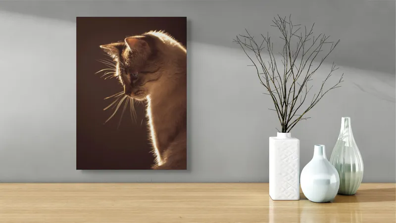 Tablou Canvas, "Lumina blândă a serii feline", Scânteie, Blană, Portret, Lumină, Siluetă, Ochii, Reflexie, Mister, Calm, Grație, 39 x 54 cm – poza 4