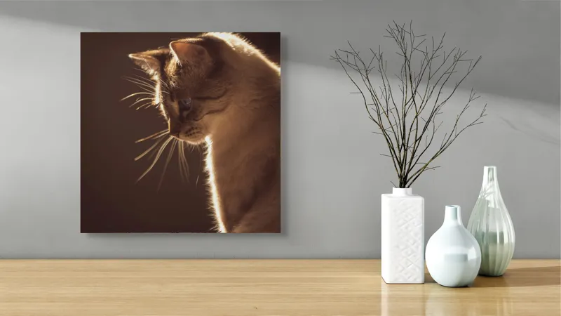 Tablou Canvas, "Lumina blândă a serii feline", Scânteie, Blană, Portret, Lumină, Siluetă, Ochii, Reflexie, Mister, Calm, Grație, 50 x 50 cm – poza 3