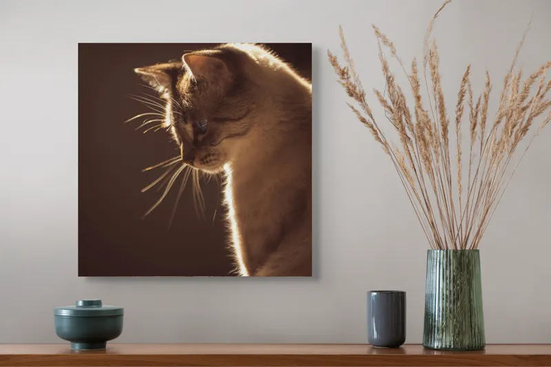 Tablou Canvas, "Lumina blândă a serii feline", Scânteie, Blană, Portret, Lumină, Siluetă, Ochii, Reflexie, Mister, Calm, Grație, 50 x 50 cm – poza 4
