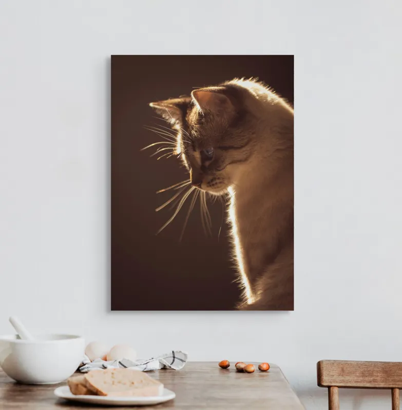 Tablou Canvas, "Lumina blândă a serii feline", Scânteie, Blană, Portret, Lumină, Siluetă, Ochii, Reflexie, Mister, Calm, Grație, 50 x 70 cm – poza 3