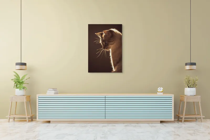 Tablou Canvas, "Lumina blândă a serii feline", Scânteie, Blană, Portret, Lumină, Siluetă, Ochii, Reflexie, Mister, Calm, Grație, 70 x 100 cm – poza 5
