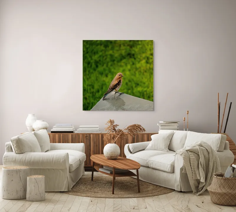 Tablou Canvas, "Pasărea contemplativă pe piatră udă", Pasăre, Verde, Natură, Panou, Singurătate, Contrast, Delicatețe, 100 x 100 cm – poza 3