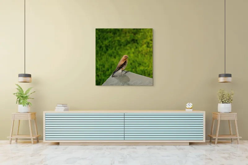 Tablou Canvas, "Pasărea contemplativă pe piatră udă", Pasăre, Verde, Natură, Panou, Singurătate, Contrast, Delicatețe, 100 x 100 cm – poza 5