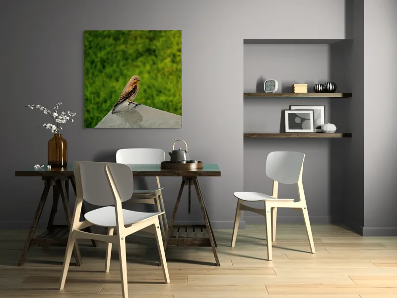 Tablou Canvas, "Pasărea contemplativă pe piatră udă", Pasăre, Verde, Natură, Panou, Singurătate, Contrast, Delicatețe, 100 x 100 cm – poza 6