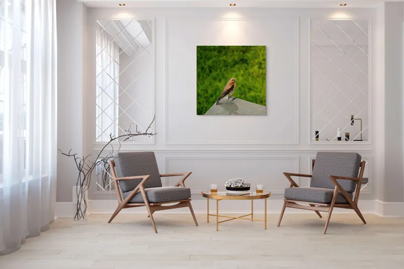Tablou Canvas, "Pasărea contemplativă pe piatră udă", Pasăre, Verde, Natură, Panou, Singurătate, Contrast, Delicatețe, 100 x 100 cm – poza 7
