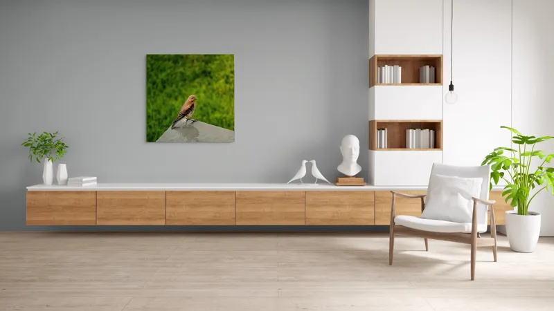 Tablou Canvas, "Pasărea contemplativă pe piatră udă", Pasăre, Verde, Natură, Panou, Singurătate, Contrast, Delicatețe, 100 x 100 cm – poza 8