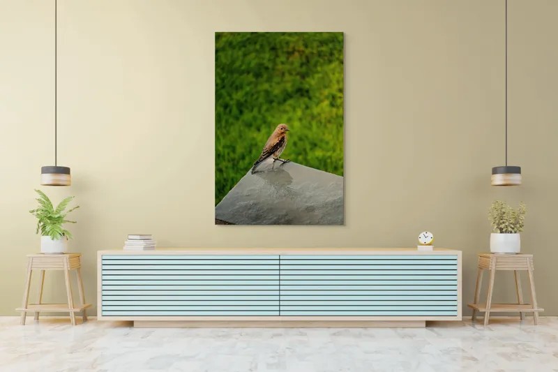 Tablou Canvas, "Pasărea contemplativă pe piatră udă", Pasăre, Verde, Natură, Panou, Singurătate, Contrast, Delicatețe, 100 x 150 cm – poza 4