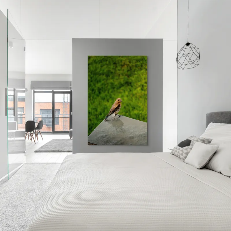Tablou Canvas, "Pasărea contemplativă pe piatră udă", Pasăre, Verde, Natură, Panou, Singurătate, Contrast, Delicatețe, 100 x 150 cm – poza 5