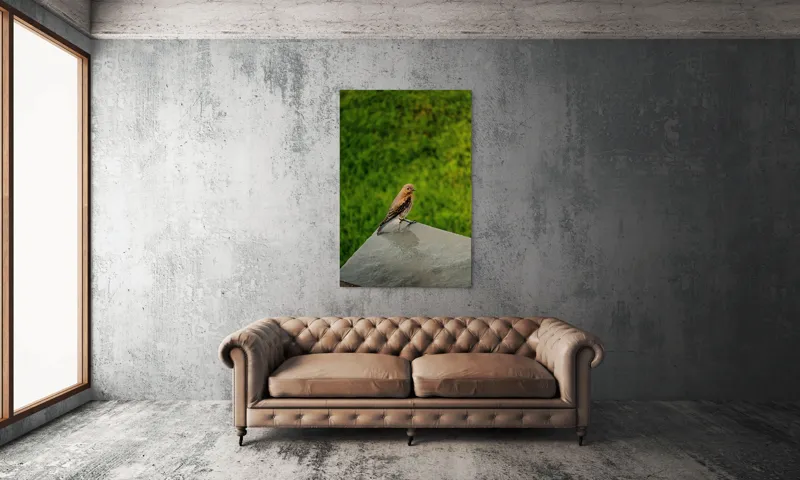 Tablou Canvas, "Pasărea contemplativă pe piatră udă", Pasăre, Verde, Natură, Panou, Singurătate, Contrast, Delicatețe, 100 x 150 cm – poza 6