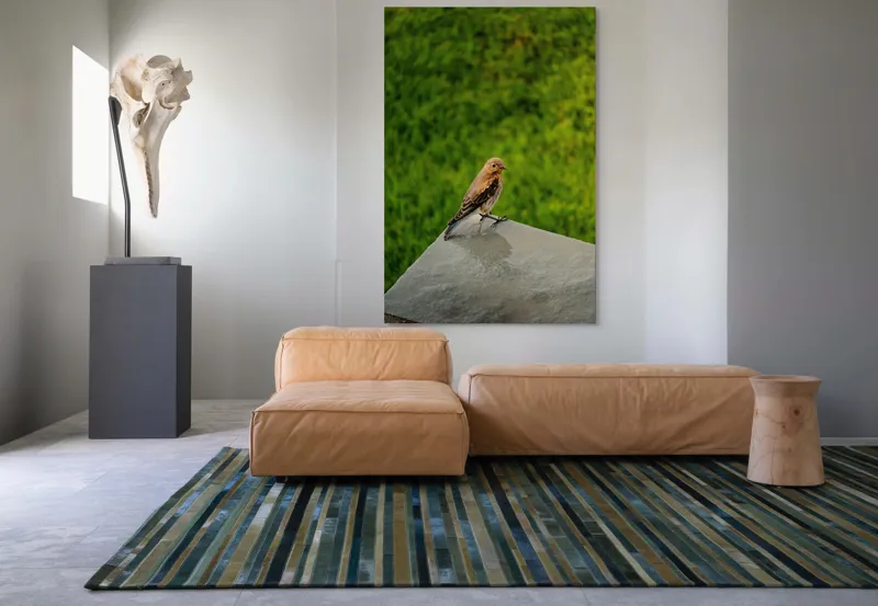 Tablou Canvas, "Pasărea contemplativă pe piatră udă", Pasăre, Verde, Natură, Panou, Singurătate, Contrast, Delicatețe, 100 x 150 cm – poza 7