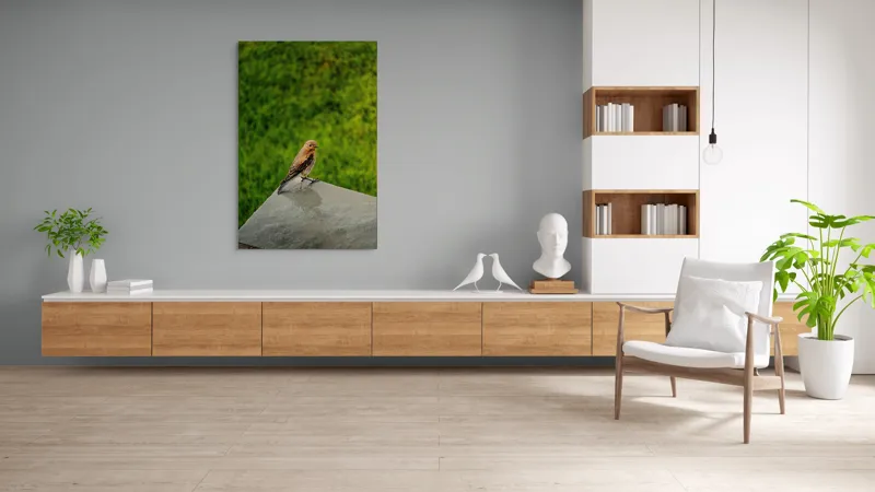Tablou Canvas, "Pasărea contemplativă pe piatră udă", Pasăre, Verde, Natură, Panou, Singurătate, Contrast, Delicatețe, 100 x 150 cm – poza 8