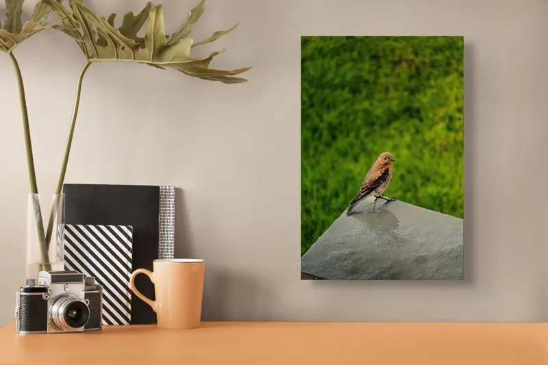 Tablou Canvas, "Pasărea contemplativă pe piatră udă", Pasăre, Verde, Natură, Panou, Singurătate, Contrast, Delicatețe, 26 x 39 cm – poza 3