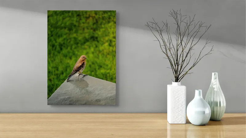 Tablou Canvas, "Pasărea contemplativă pe piatră udă", Pasăre, Verde, Natură, Panou, Singurătate, Contrast, Delicatețe, 39 x 54 cm – poza 4