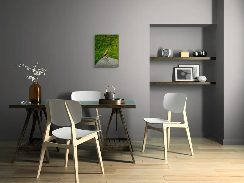 Tablou Canvas, "Pasărea contemplativă pe piatră udă", Pasăre, Verde, Natură, Panou, Singurătate, Contrast, Delicatețe, 39 x 54 cm – poza 7
