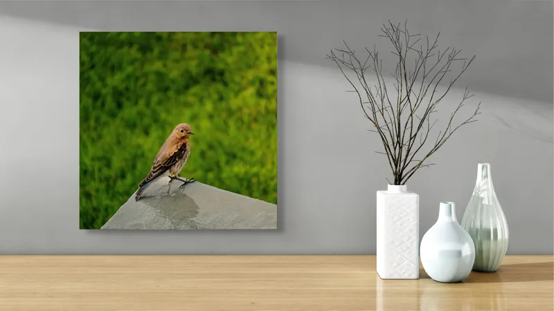 Tablou Canvas, "Pasărea contemplativă pe piatră udă", Pasăre, Verde, Natură, Panou, Singurătate, Contrast, Delicatețe, 50 x 50 cm – poza 3