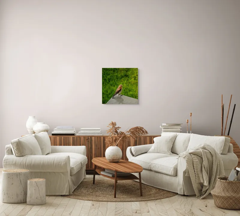 Tablou Canvas, "Pasărea contemplativă pe piatră udă", Pasăre, Verde, Natură, Panou, Singurătate, Contrast, Delicatețe, 50 x 50 cm – poza 7