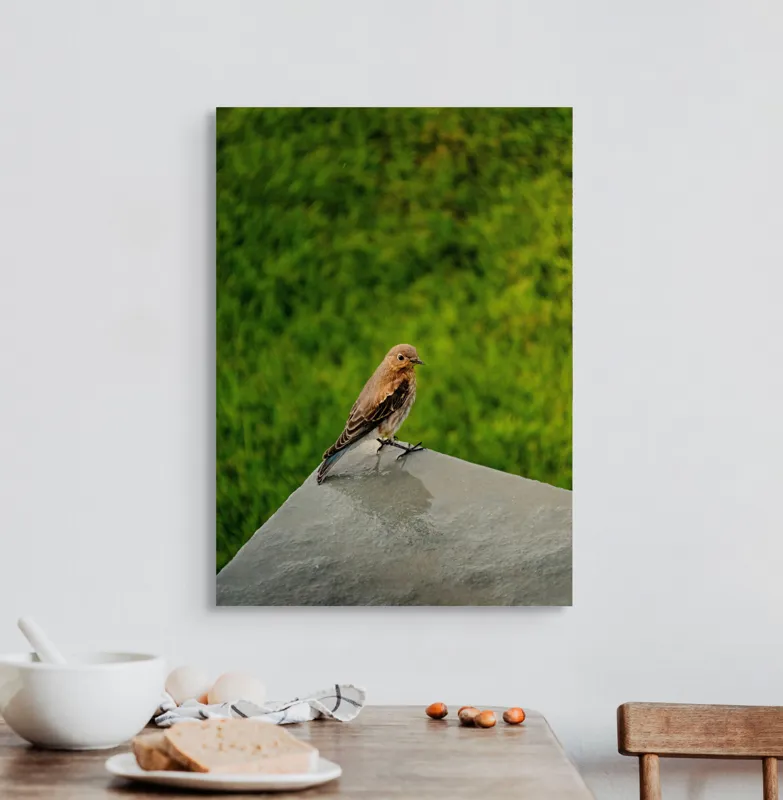 Tablou Canvas, "Pasărea contemplativă pe piatră udă", Pasăre, Verde, Natură, Panou, Singurătate, Contrast, Delicatețe, 50 x 70 cm – poza 3