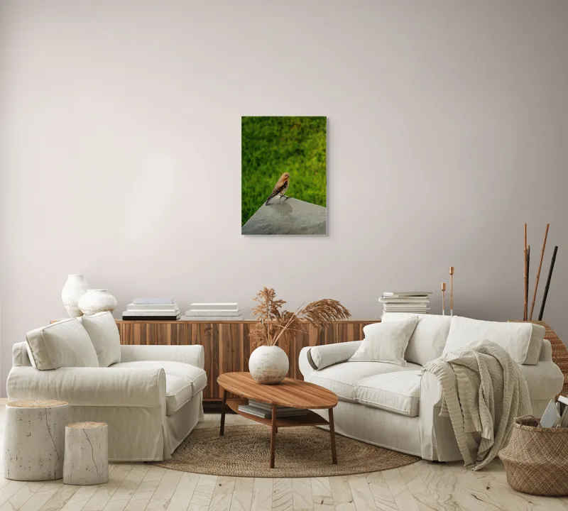 Tablou Canvas, "Pasărea contemplativă pe piatră udă", Pasăre, Verde, Natură, Panou, Singurătate, Contrast, Delicatețe, 50 x 70 cm – poza 4
