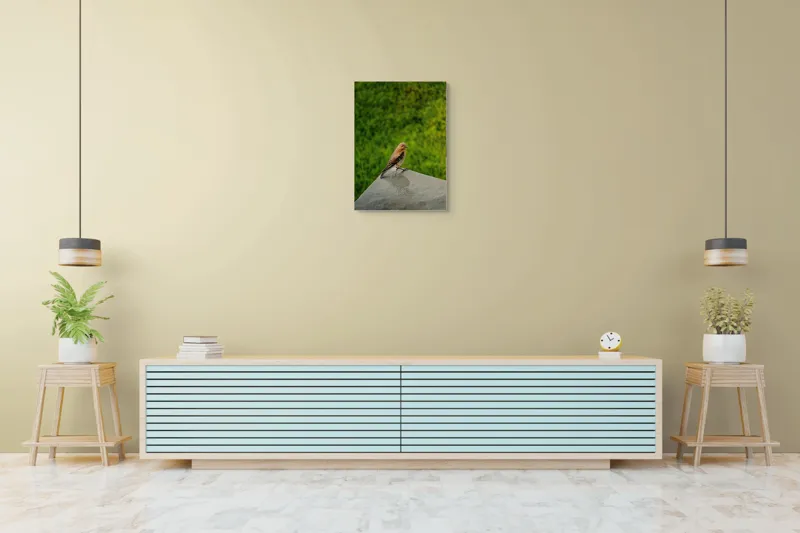 Tablou Canvas, "Pasărea contemplativă pe piatră udă", Pasăre, Verde, Natură, Panou, Singurătate, Contrast, Delicatețe, 50 x 70 cm – poza 6
