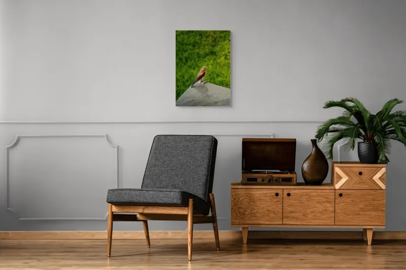 Tablou Canvas, "Pasărea contemplativă pe piatră udă", Pasăre, Verde, Natură, Panou, Singurătate, Contrast, Delicatețe, 50 x 70 cm – poza 8