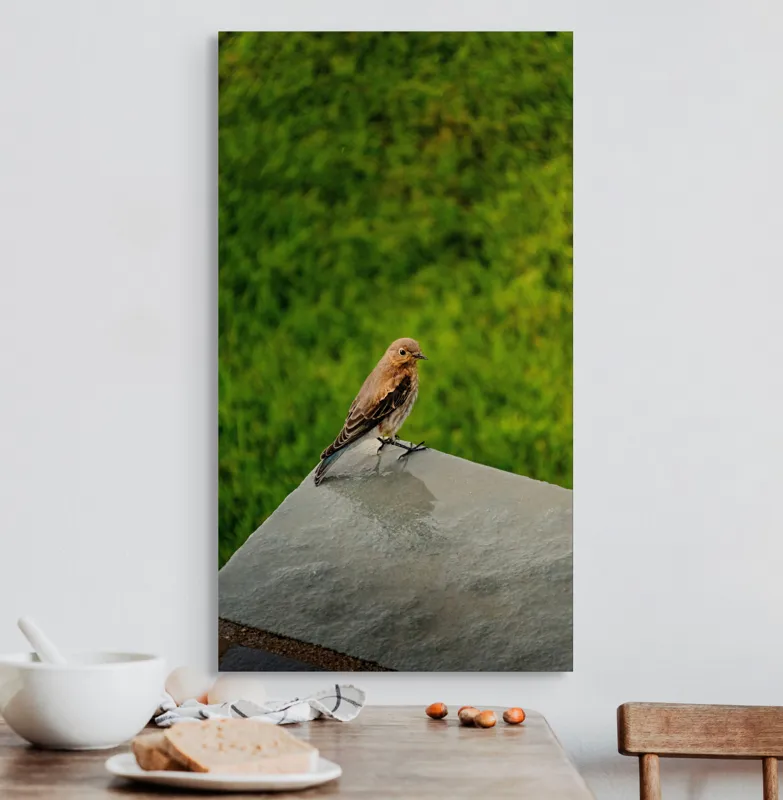 Tablou Canvas, "Pasărea contemplativă pe piatră udă", Pasăre, Verde, Natură, Panou, Singurătate, Contrast, Delicatețe, 50 x 90 cm – poza 3